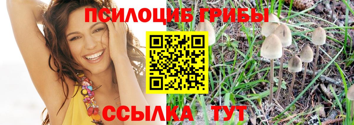 Псилоцибиновые грибы MAGIC MUSHROOMS Ковров