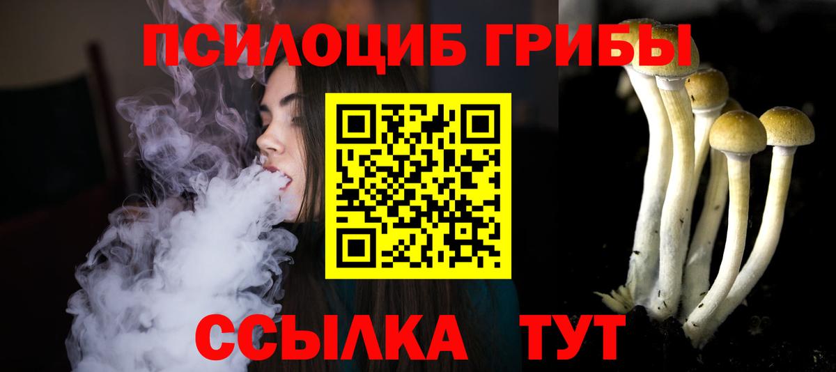 Псилоцибиновые грибы Magic Shrooms  Вход с VPN  Ковров 
